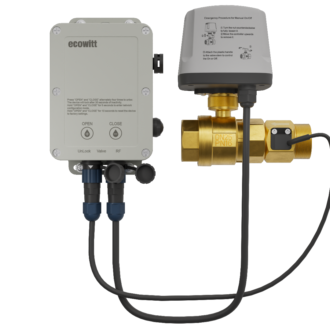 Professional weather products smart home product ecowitt